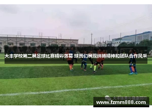 大丰学校第二届足球比赛精彩落幕 球员们展现拼搏精神和团队合作风采