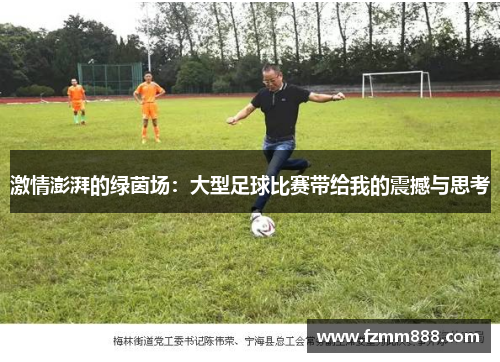 激情澎湃的绿茵场：大型足球比赛带给我的震撼与思考