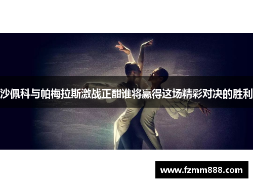 沙佩科与帕梅拉斯激战正酣谁将赢得这场精彩对决的胜利